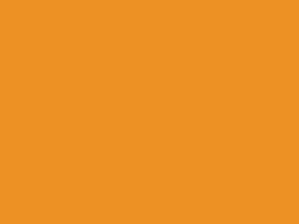Wilton Lebensmittelfarbe Gel Orange 28g