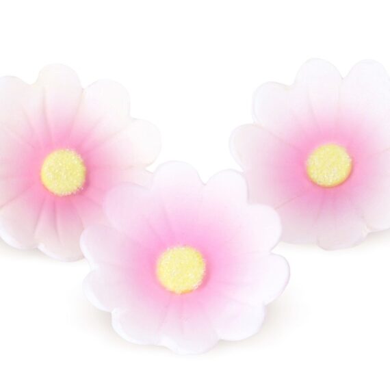 Cake-Masters Blumen 40mm weiß-rosa Zucker 6 Stück
