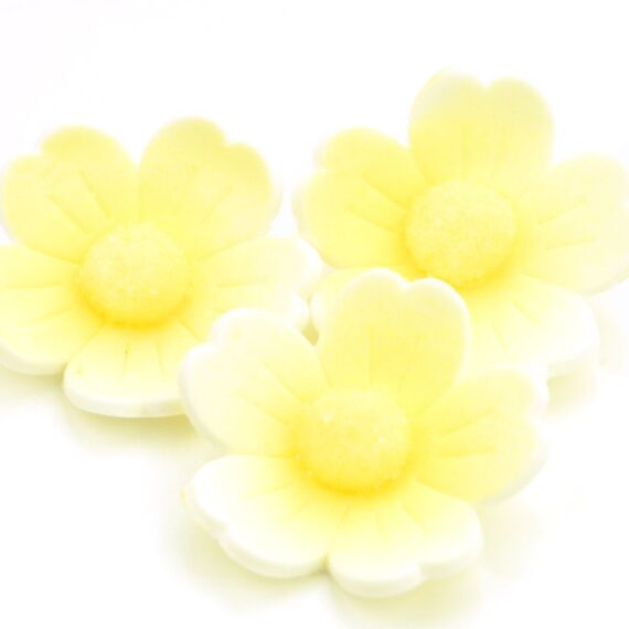 Cake-Masters Blumen 40mm weiß-gelb Zucker 6 Stück