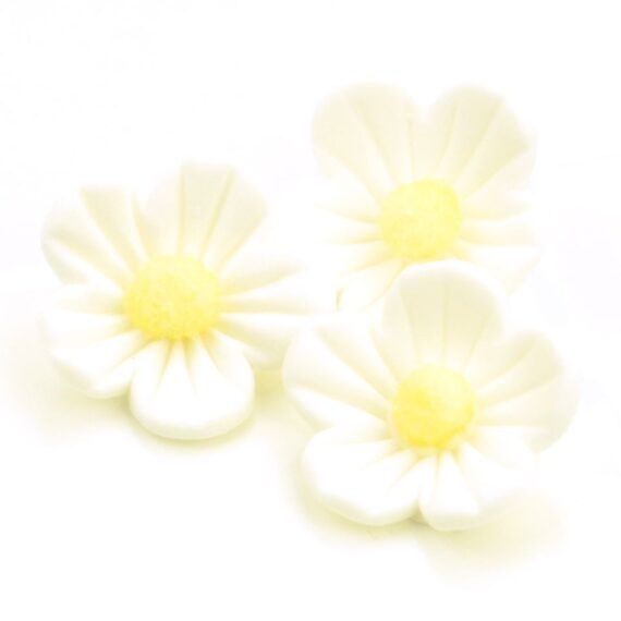 Cake-Masters Blumen 25mm weiß Zucker 16 Stück