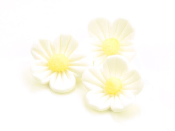 Cake-Masters Blumen 25mm weiß Zucker 16 Stück