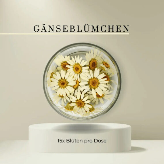 Rosie Rose Gänseblümchen – 15 essbare Blüten