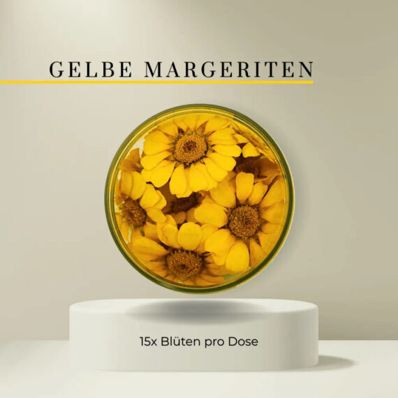 Rosie Rose Gelbe Margeriten – 15 essbare Blüten